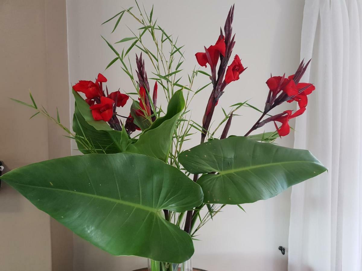 Dilisca Guesthouse Durbanville Bagian luar foto